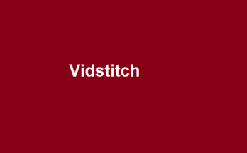 Vidstitch 