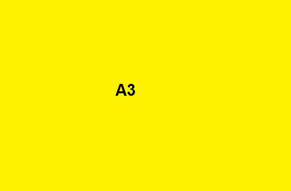 A3