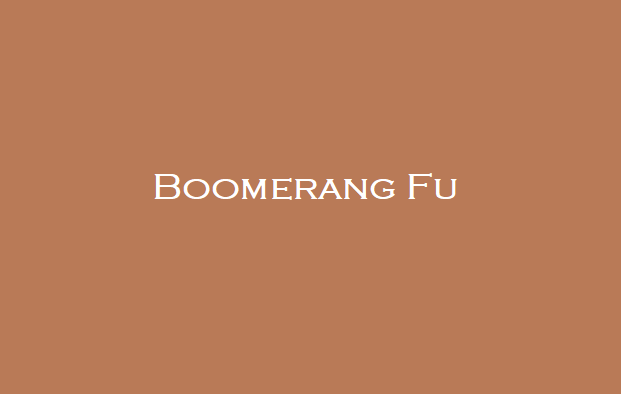 Boomerang Fu