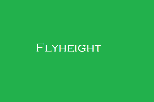 Flyheight