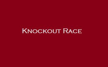 Knockout Race