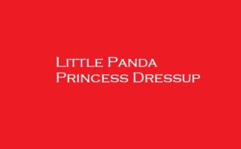Little Panda Princess Dressup