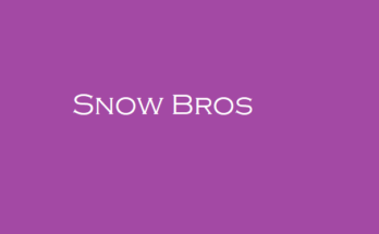Snow Bros