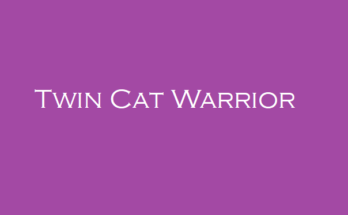 Twin Cat Warrior