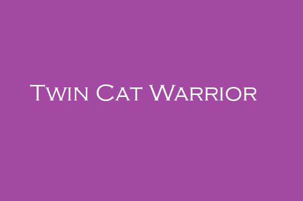 Twin Cat Warrior