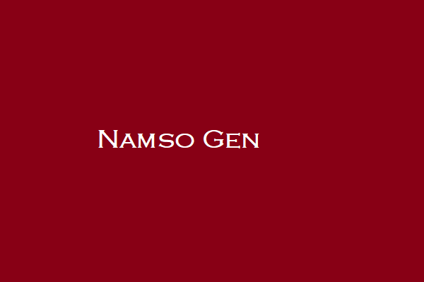 Namso Gen
