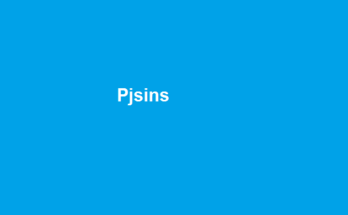 Pjsins