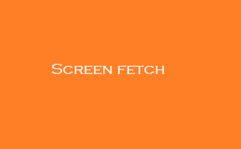 Screen fetch