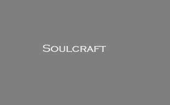 Soulcraft