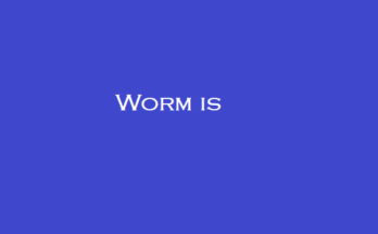 Worm is